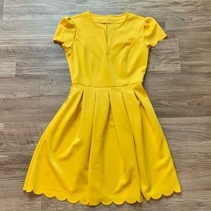 Scallop Pleated Skater Dress
